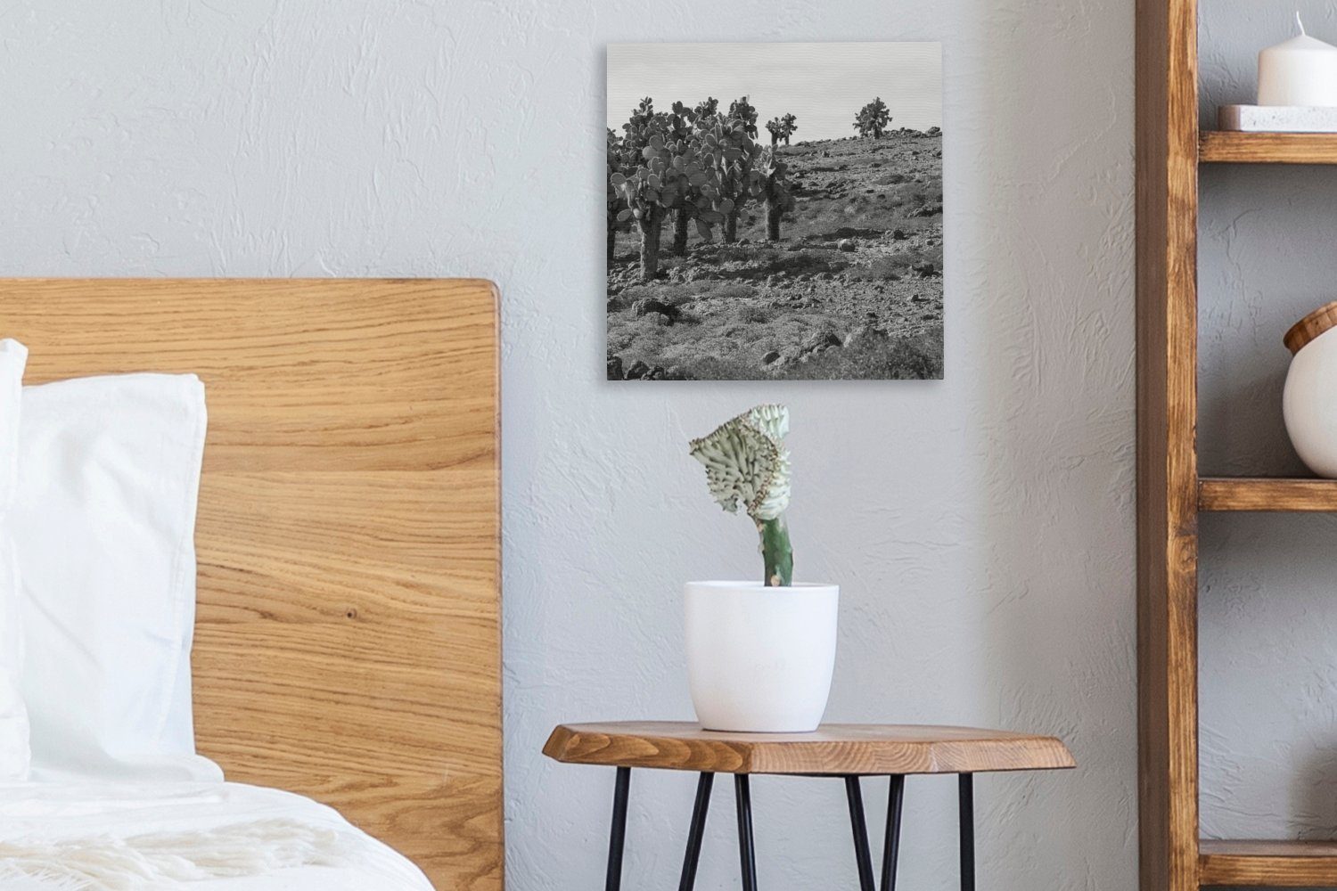 Kaktus OneMillionCanvasses® - (1 Bilder für - Schlafzimmer Südamerika, Weiß Schwarz Leinwandbild Wohnzimmer St), - Leinwand