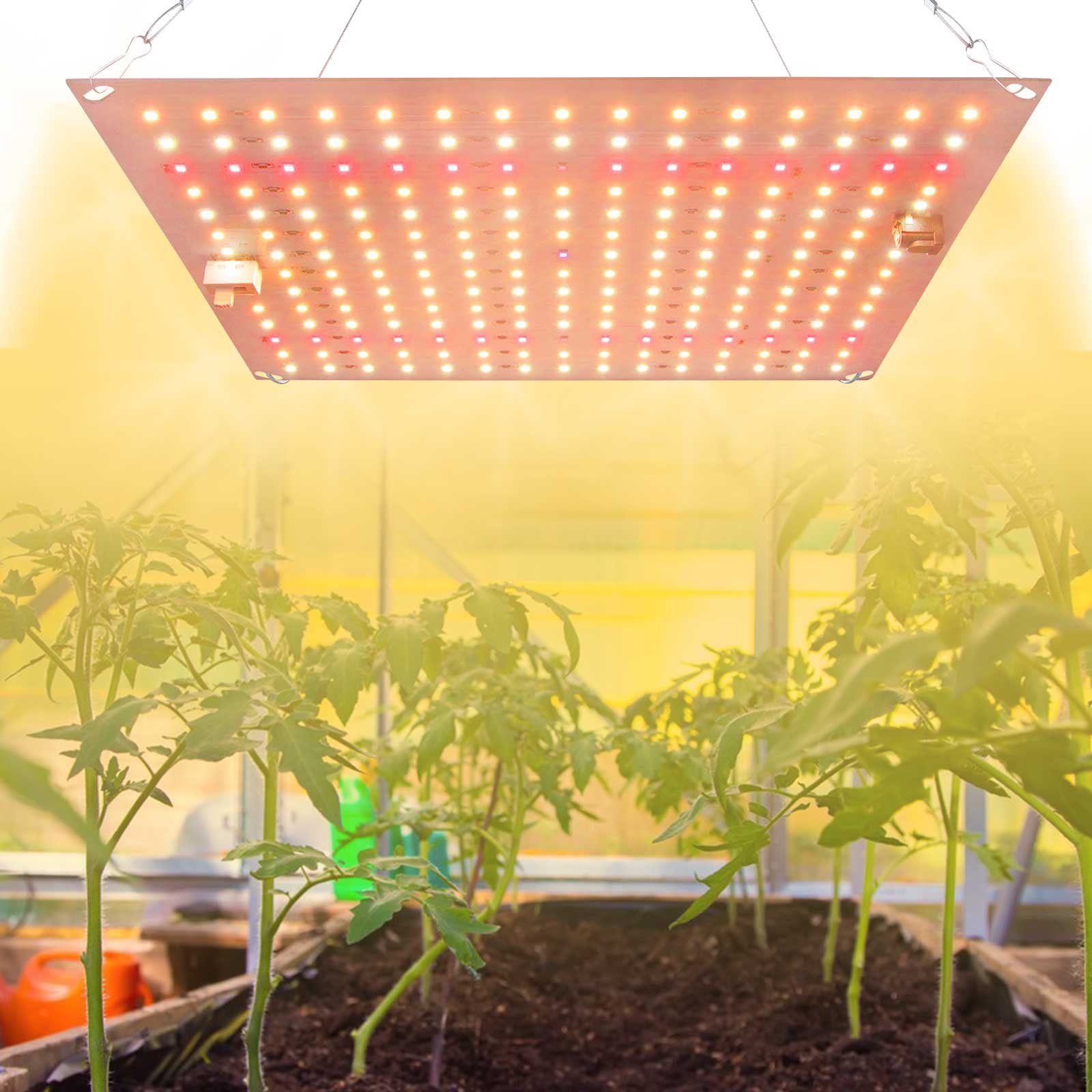 Sunicol Pflanzenlampe Pflanzenwachstumsleuchten, für Indoor-Pflanzen,  Gemüse und Blumen, 3000K Warmweiß, 5000K Weiß, 620nm Rot, 385nm UV, 730nm  IR, zwei Lichtmodi