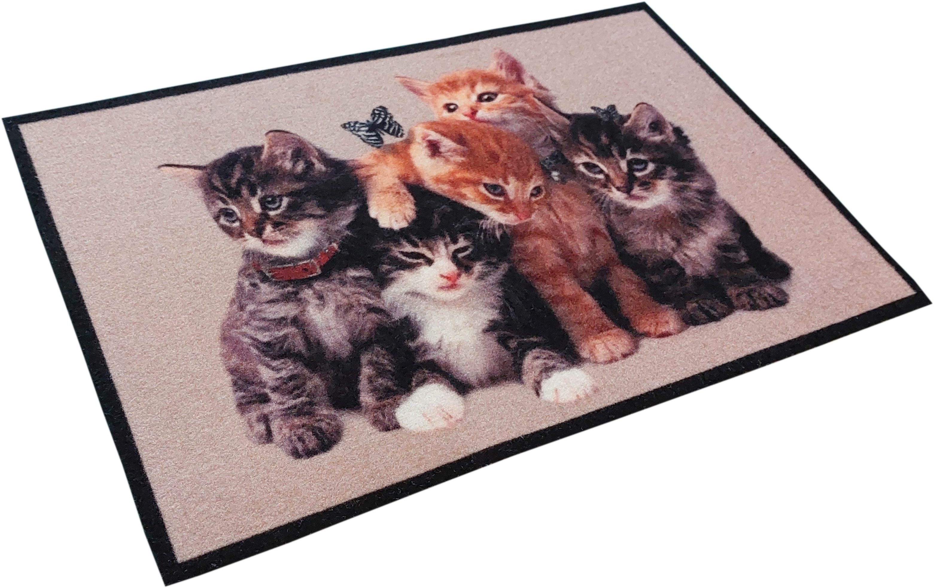 oKu-Tex Fußmatte Türvorleger mit Aufdruck, Katzen, günstig online kaufen