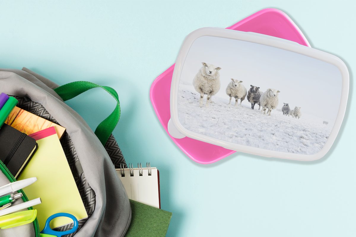Kunststoff (2-tlg), MuchoWow Schafe für Erwachsene, Kunststoff, Schnee, - Snackbox, Brotdose rosa Wolle Mädchen, - Lunchbox Brotbox Kinder,