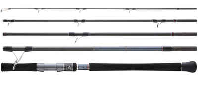 Hearty Rise Spinnrute Skywalker Shore Jigging 2,91m 120g - Reiserute