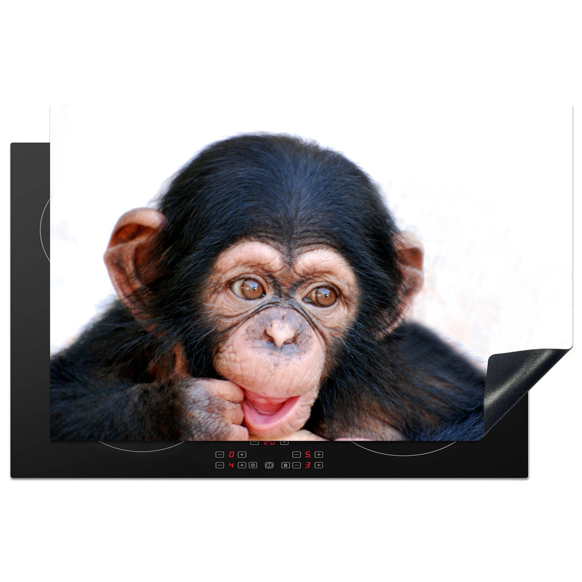 MuchoWow Herdblende-/Abdeckplatte Nahaufnahme Schimpanse Affe gegen weißen Hintergrund, Vinyl, (1 tlg), 81x52 cm, Induktionskochfeld Schutz für die küche, Ceranfeldabdeckung