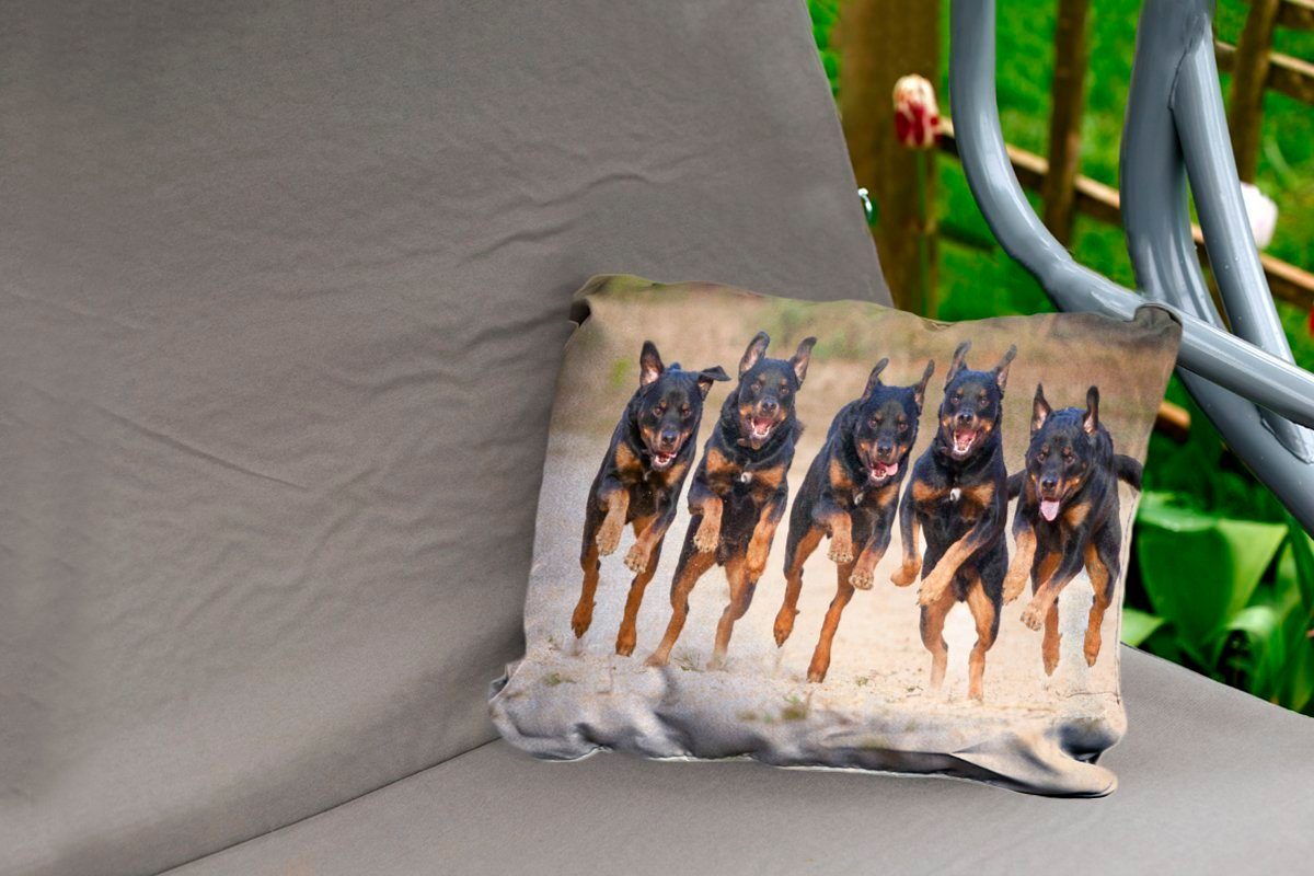 Dekokissen laufende MuchoWow Kissenhülle Polyester, In Reihe Outdoor-Dekorationskissen, Dekokissenbezug, einer Rottweiler,