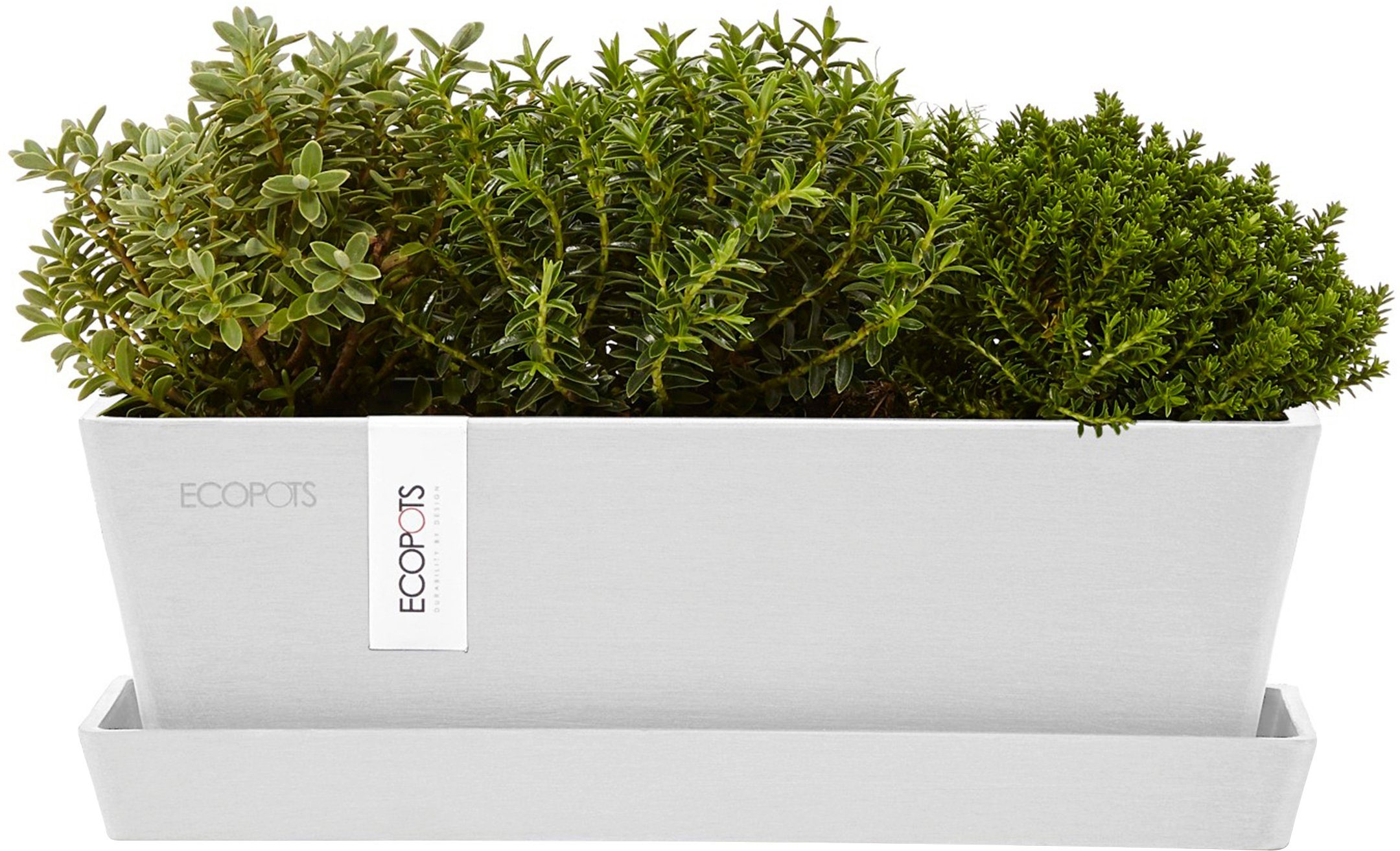 ECOPOTS Balkonkasten Bruges Mini 25 Weiß, günstig online kaufen
