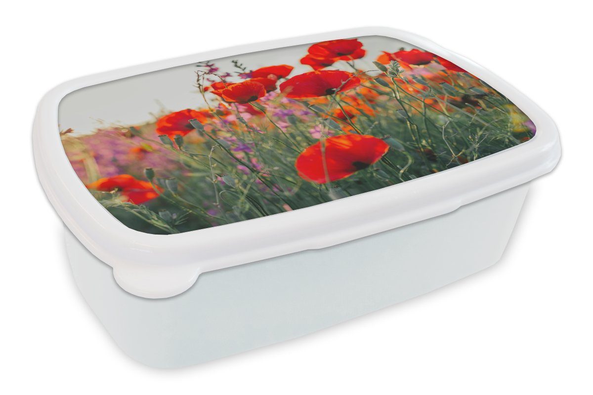 MuchoWow Lunchbox Mohn - Blumen - Rot - Lila - Wiese, Kunststoff, (2-tlg), Brotbox für Kinder und Erwachsene, Brotdose, für Jungs und Mädchen weiß