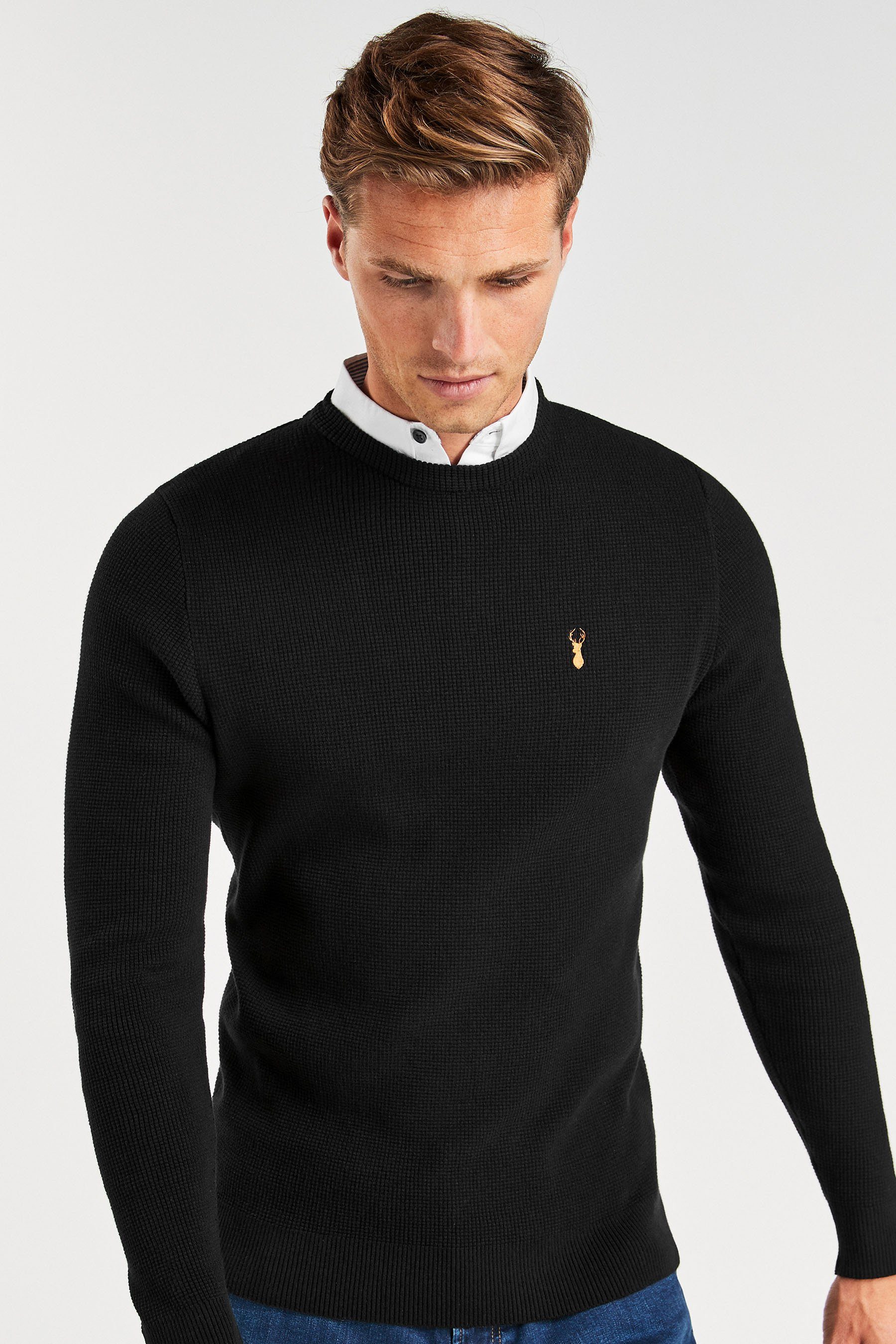 Next Strickpullover »Oxford-Pullover mit angedeutetem Hemd« (1-tlg) online  kaufen | OTTO