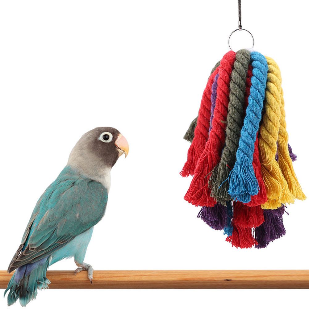 Vogelspielplatz Vogelspielzeug Kauen Spielzeug Bunte Papageien Kauen Seil Hängen