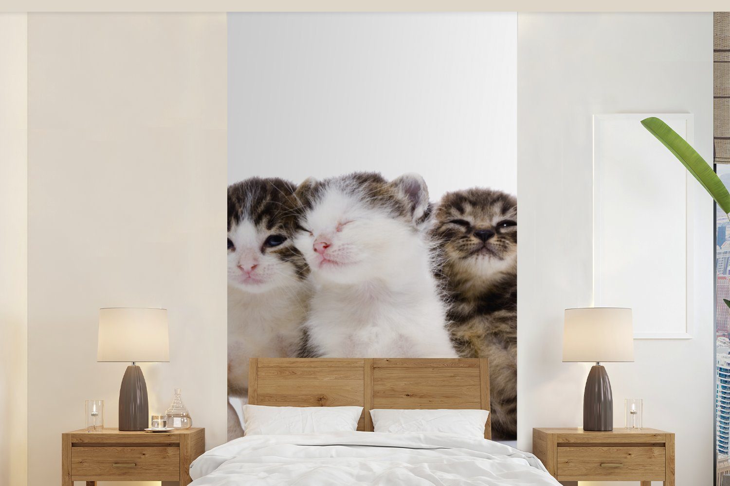MuchoWow Fototapete Katze - - Schlafzimmer Matt, Haustiere Porträt, Fototapete Küche, Wohnzimmer für bedruckt, (2 Vliestapete - Fell St)