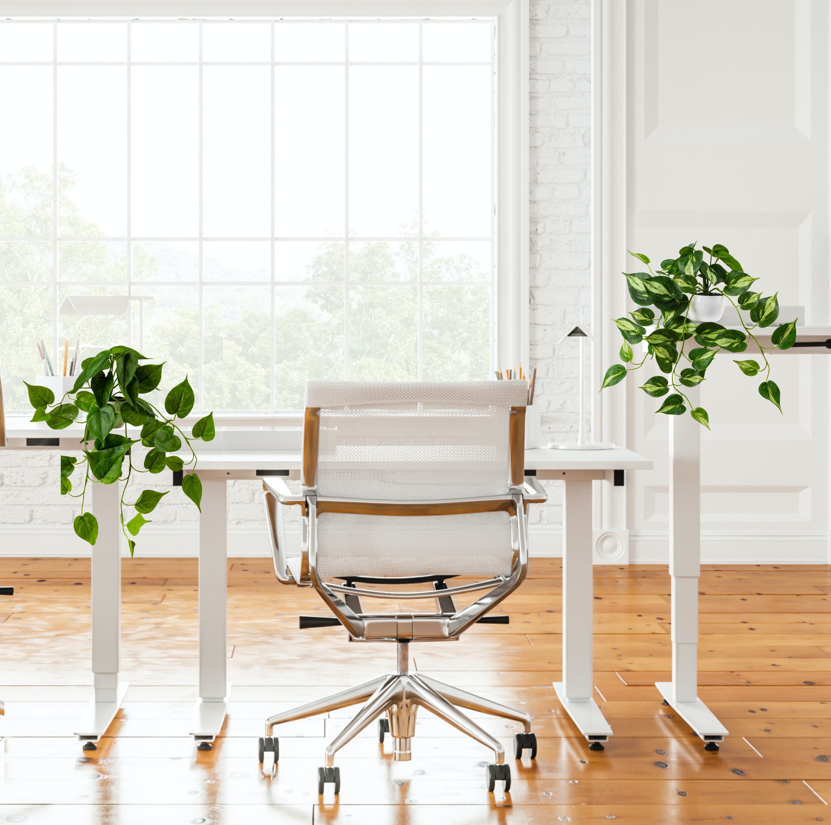 Kunstpflanze Künstliche hängepflanzen im Keramiktopf, Kunstpflanze hängend Efeu, Eukalyptus, Monstera, Zebrapflanze, PASCH