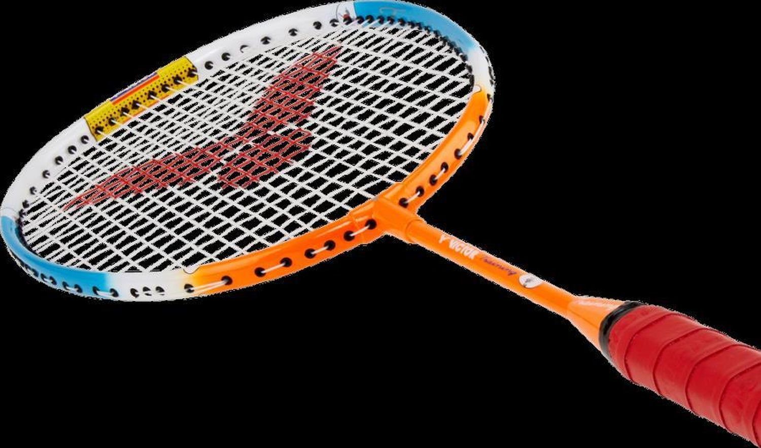 Badmintonschläger Set Training