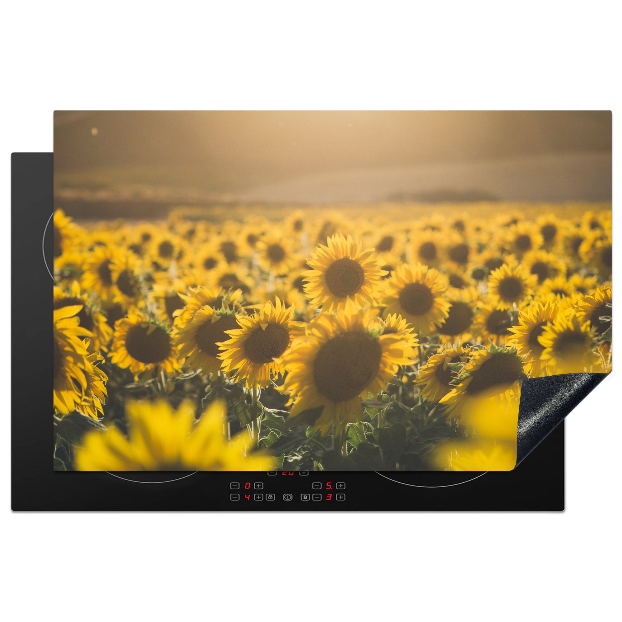MuchoWow Herdblende-/Abdeckplatte Blumen - Sonne - Sonnenblumen, Vinyl, (1 tlg), 81x52 cm, Induktionskochfeld Schutz für die küche, Ceranfeldabdeckung