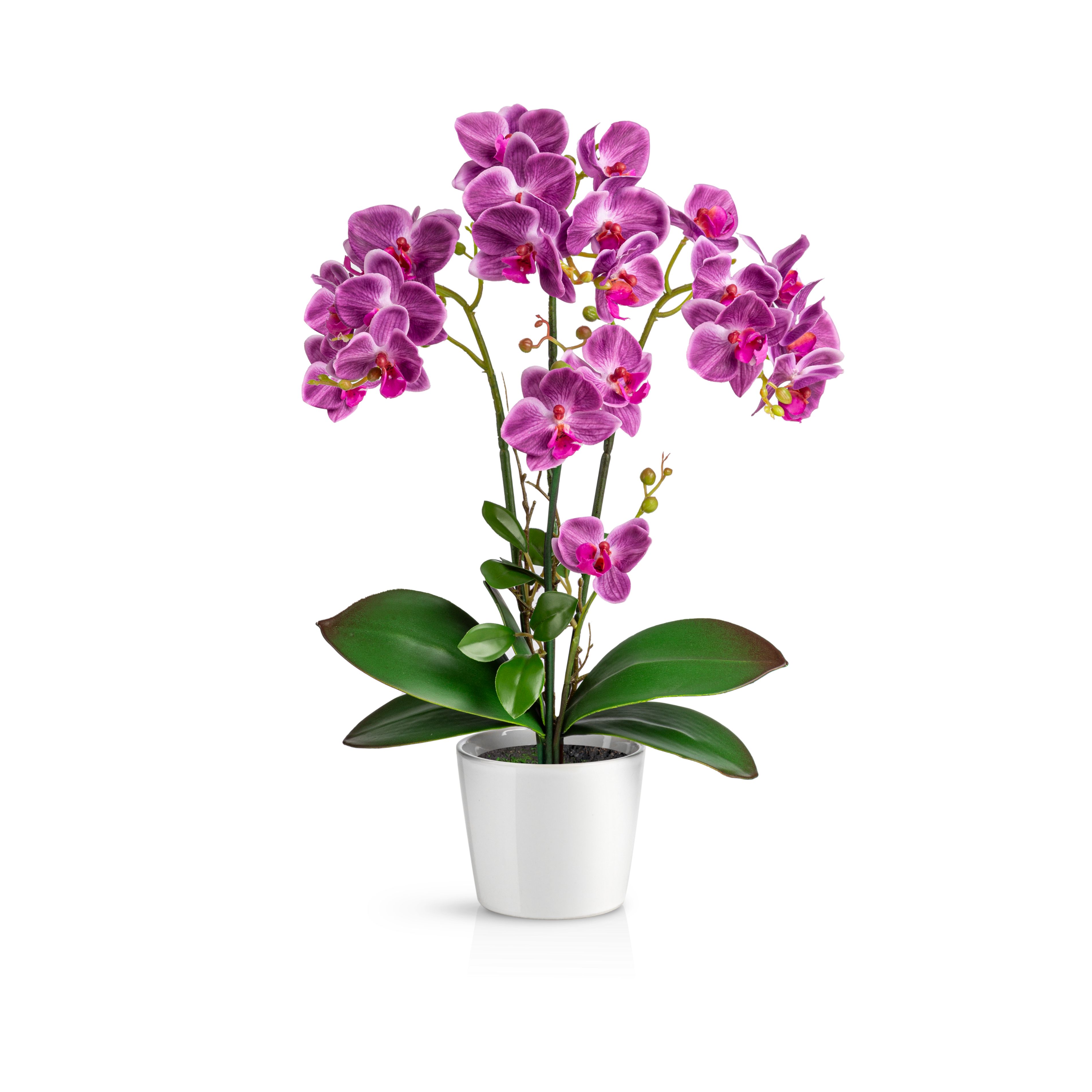 Kunstorchidee PASCH® Orchidee künstlich wie echt günstig online kaufen