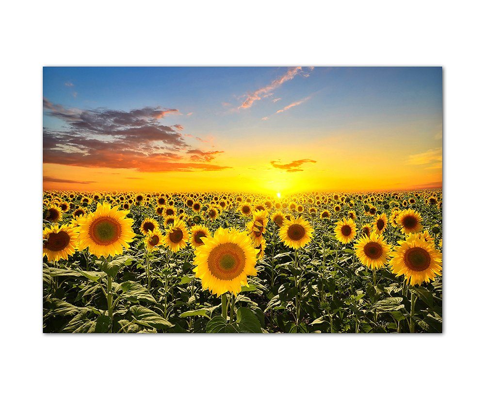 Leinwandbild 120x80cm Sonnenblumen Sonnenuntergang Himmel