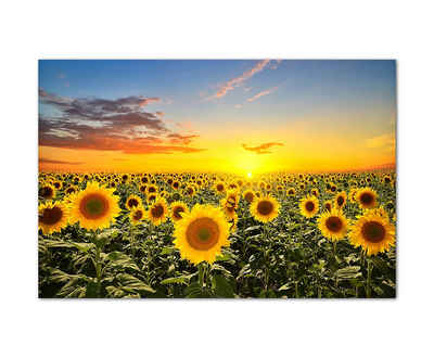 Sinus Art Leinwandbild 120x80cm Sonnenblumen Sonnenuntergang Himmel