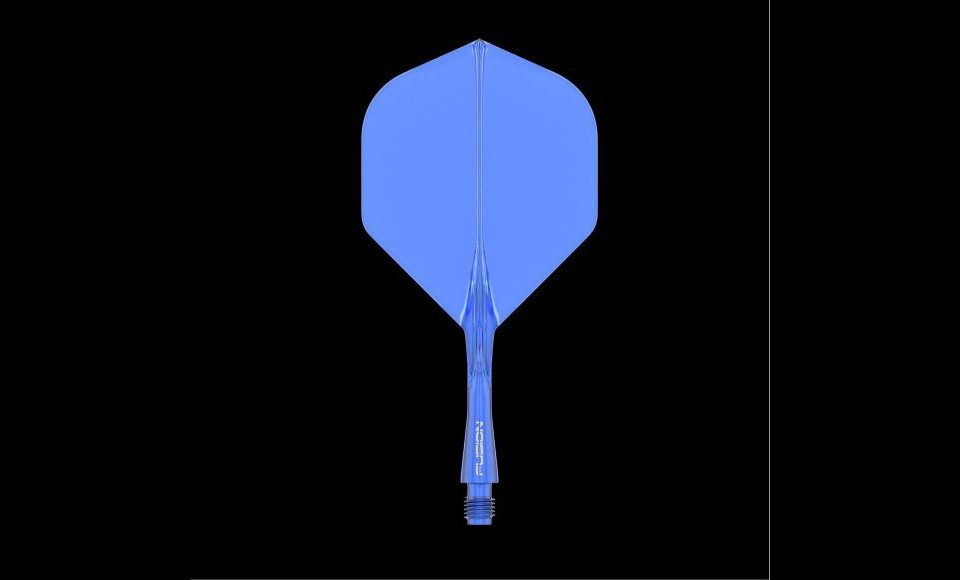 DART FLIGHT MIT SCHAFT visual data 5