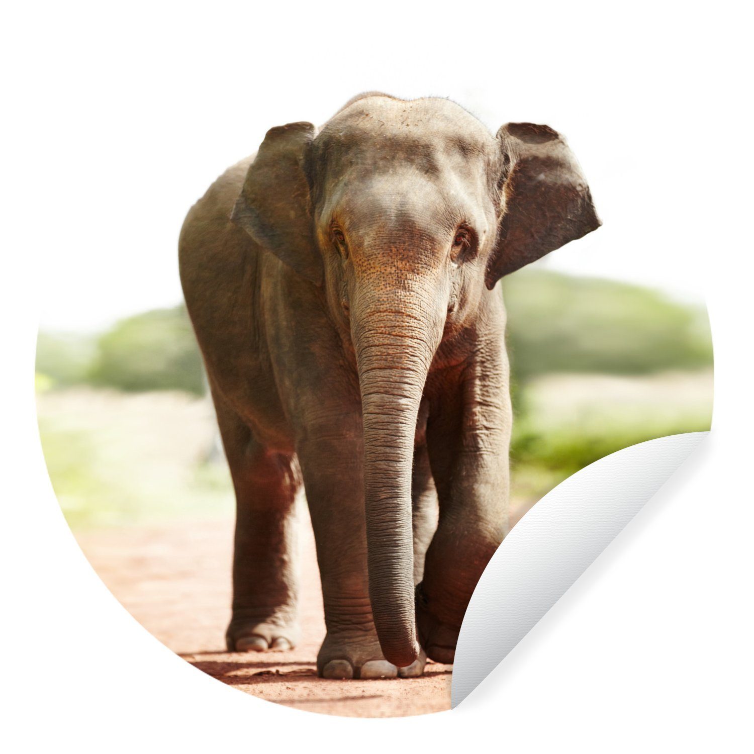 MuchoWow Wandsticker Elefant - Sonne - Safari (1 St), Tapetenkreis für Kinderzimmer, Tapetenaufkleber, Rund, Wohnzimmer