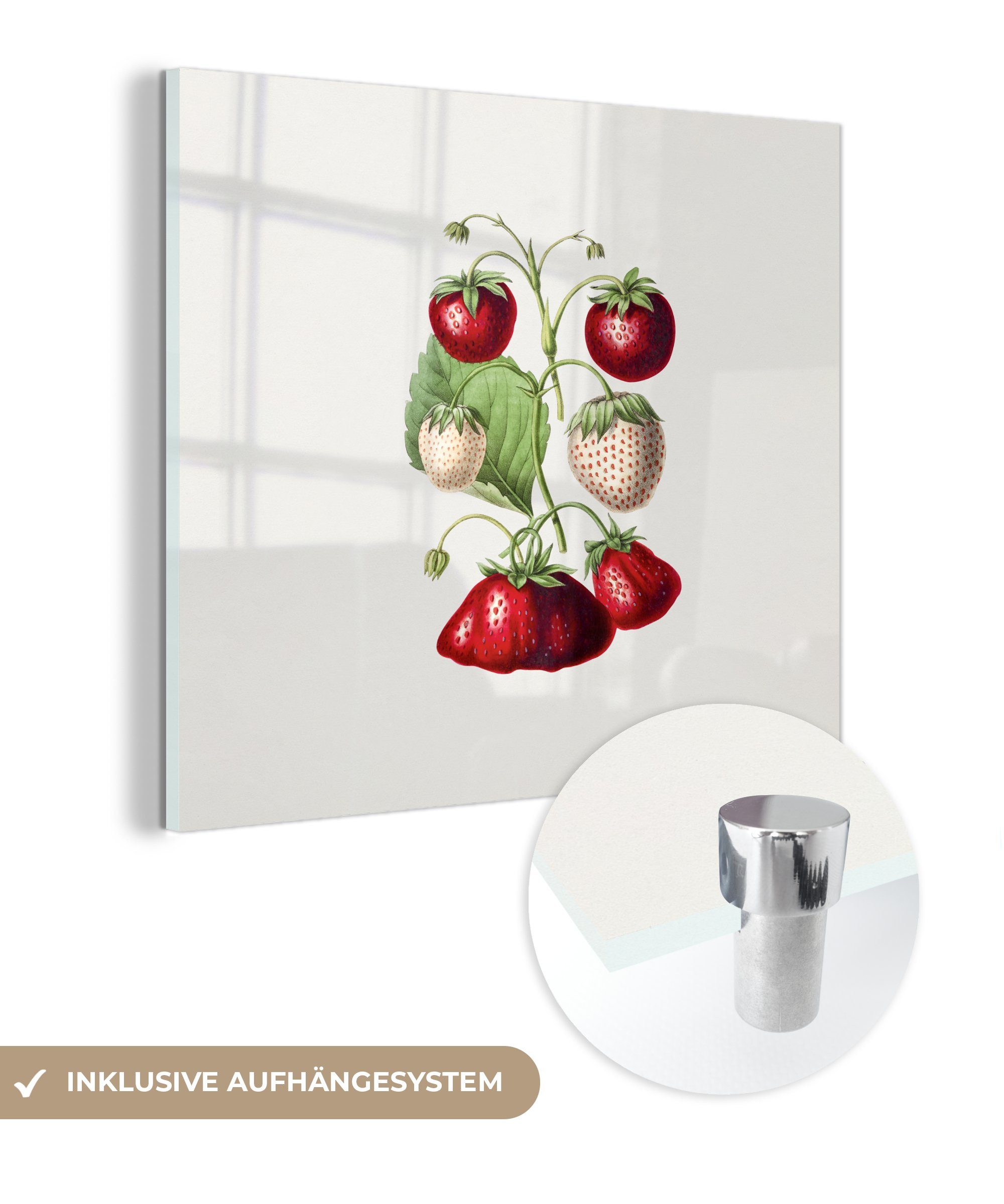 MuchoWow Acrylglasbild Erdbeeren - Pflanze - Frucht, (1 St), Glasbilder - Bilder auf Glas Wandbild - Foto auf Glas - Wanddekoration