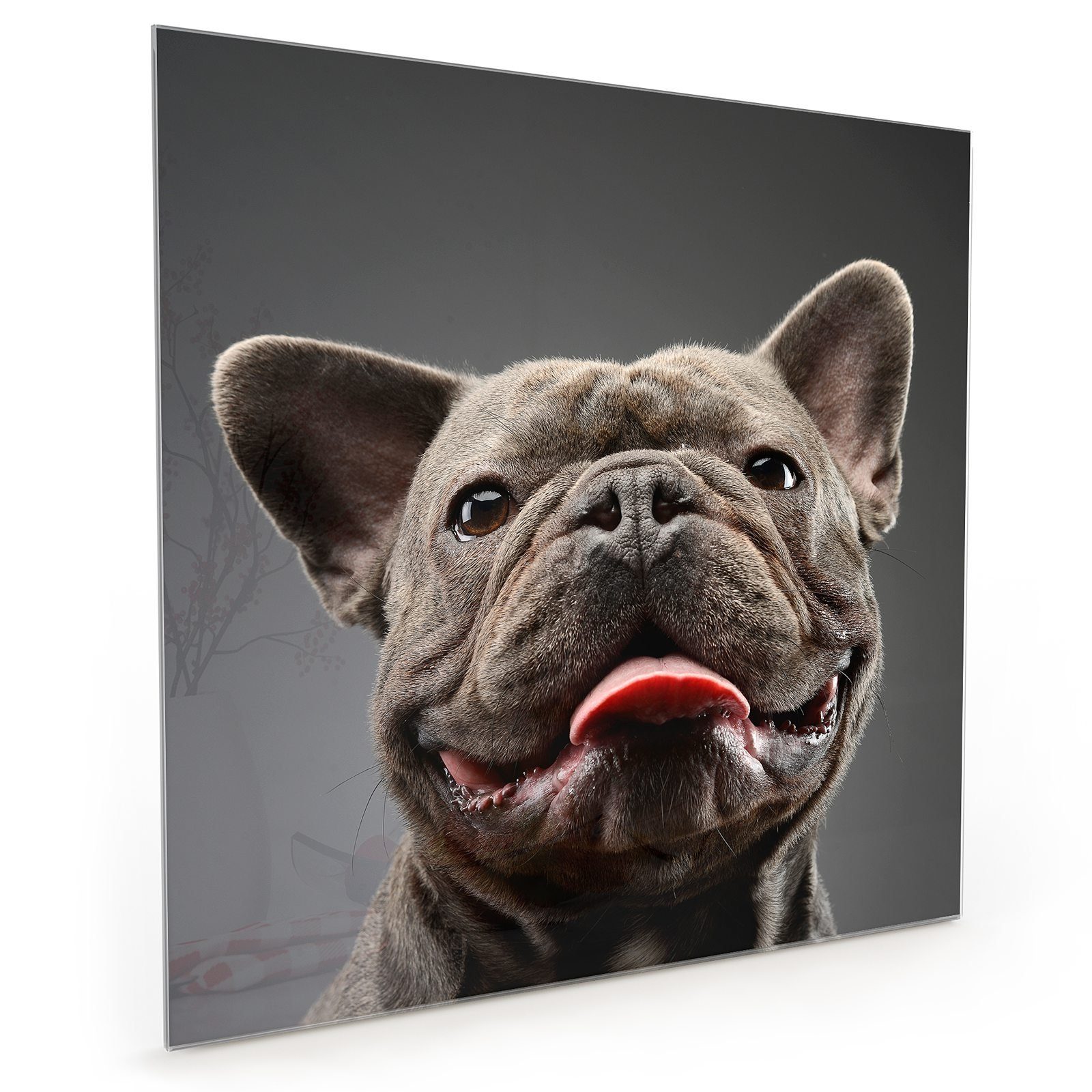 Primedeco Küchenrückwand Küchenrückwand Spritzschutz Glas mit Motiv Zunge von Bulldogge