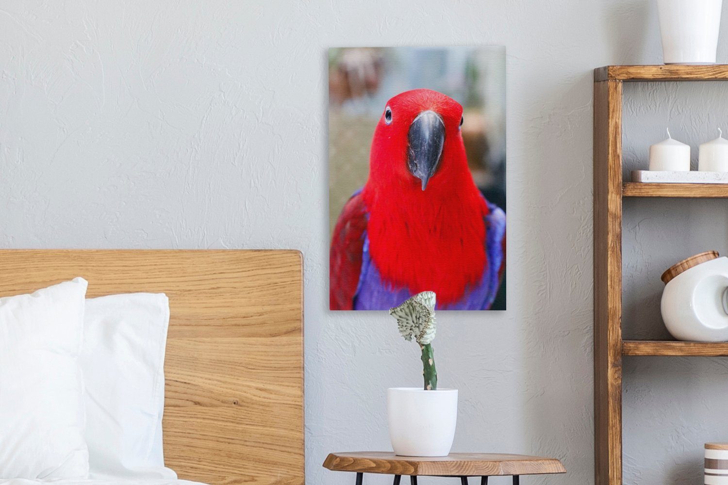 OneMillionCanvasses® Leinwandbild Leinwandbild fertig schaut bespannt die Edler St), cm 20x30 direkt Kamera, Zackenaufhänger, in inkl. (1 Papagei Gemälde