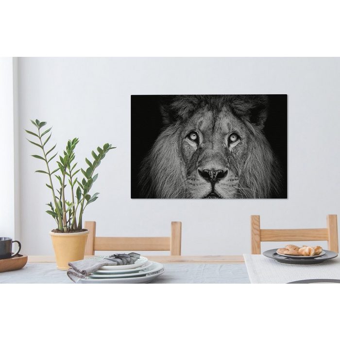 OneMillionCanvasses® Leinwandbild Löwe - Porträt - Schwarz - Weiß (1 St) Wandbild Leinwandbilder Aufhängefertig Wanddeko SY12572