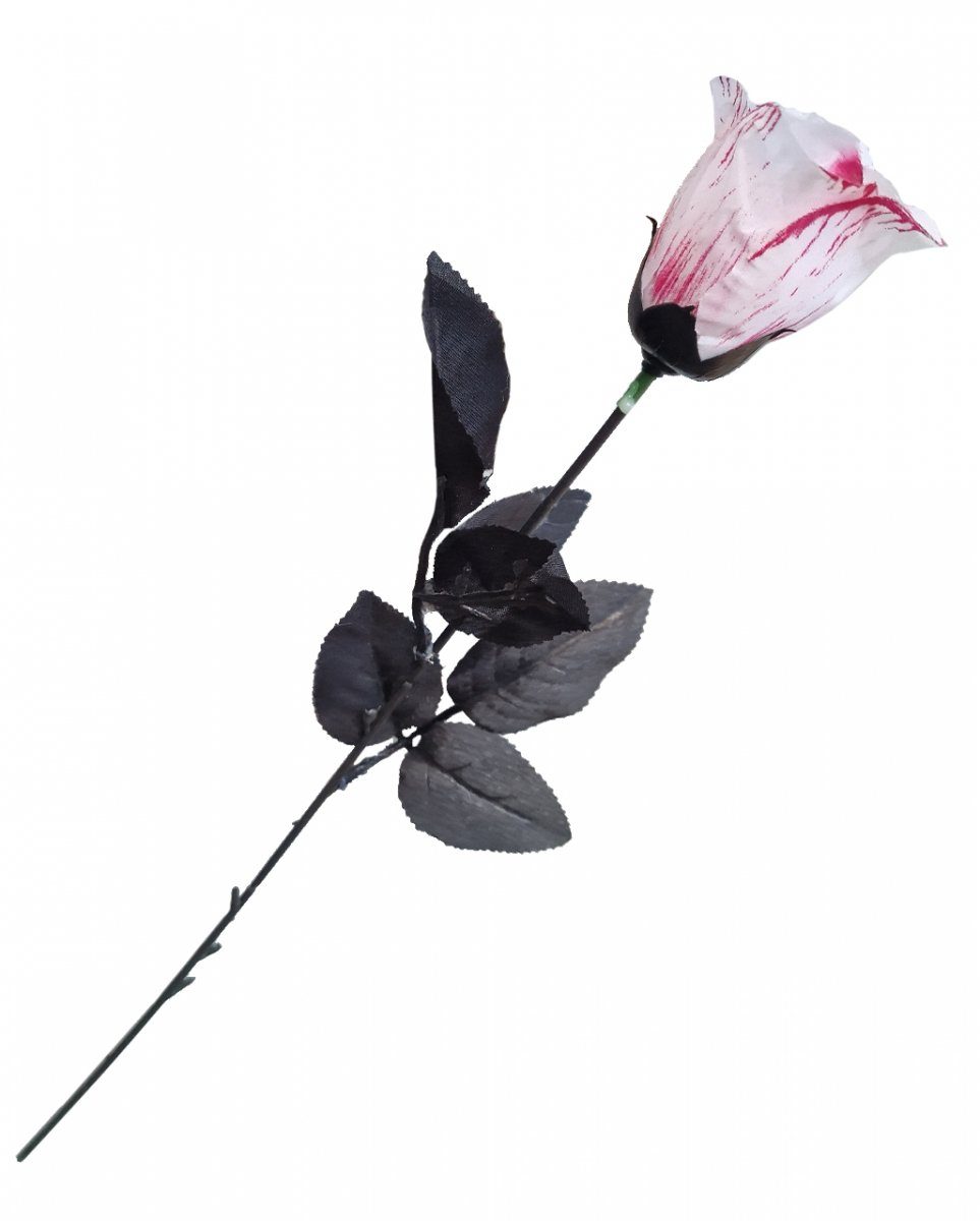 Dekoobjekt Blutige Weiße Rose als Halloween Dekoration