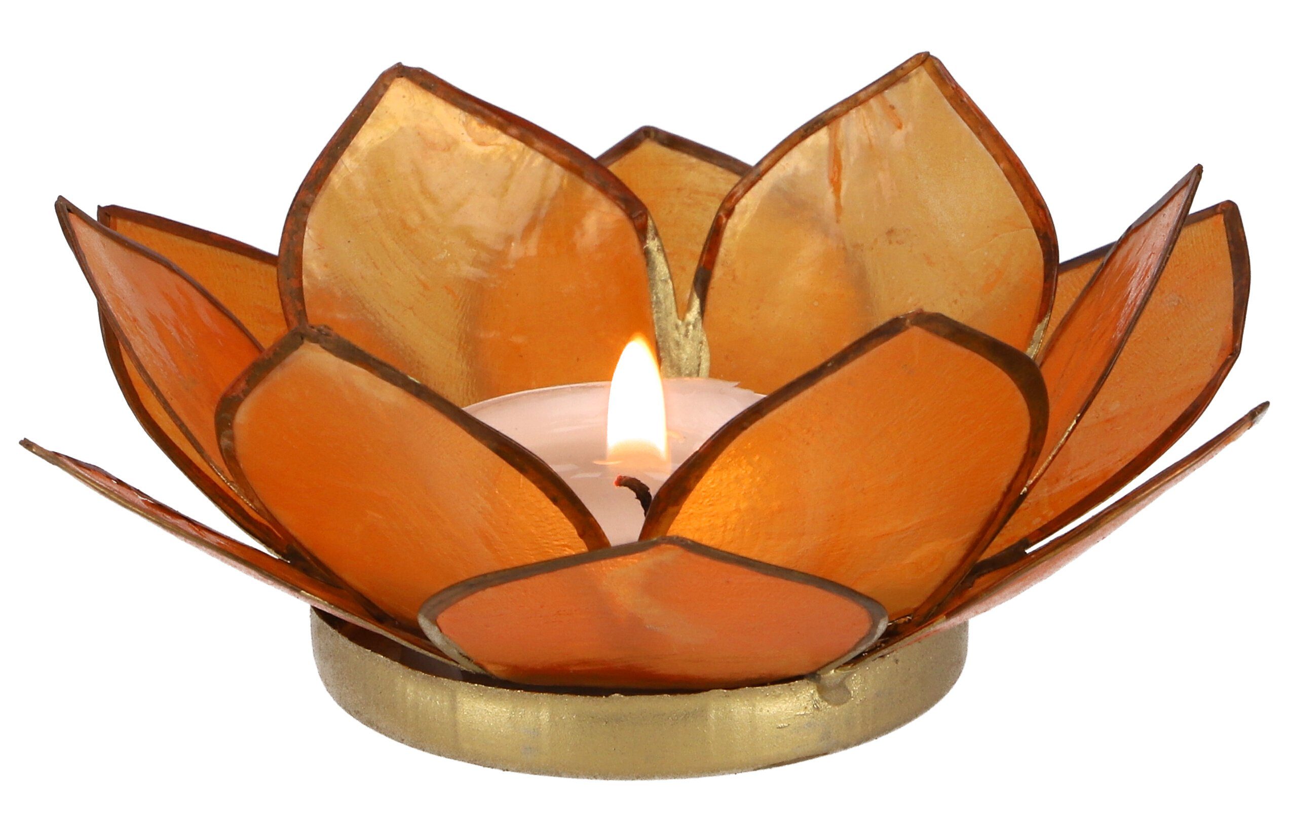 Guru-Shop Windlicht Lotus Teelicht Muschel 11*4 cm - orange