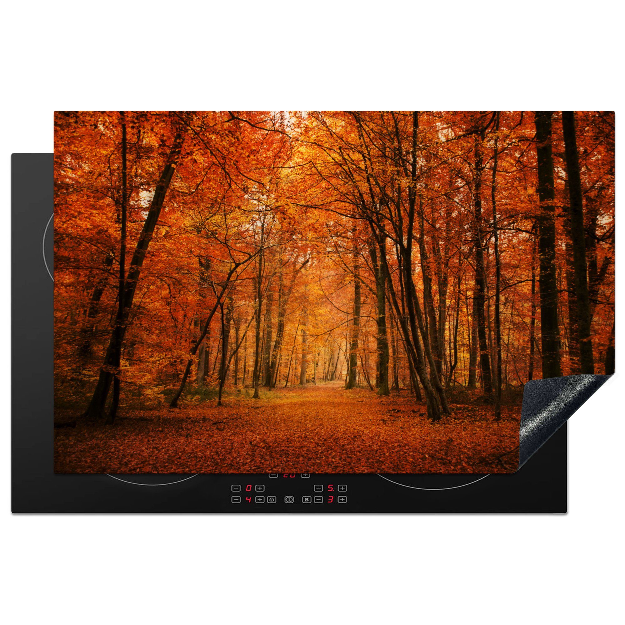 MuchoWow Herdblende-/Abdeckplatte Herbst - Rot - Wald, Vinyl, (1 tlg), 81x52 cm, Induktionskochfeld Schutz für die küche, Ceranfeldabdeckung