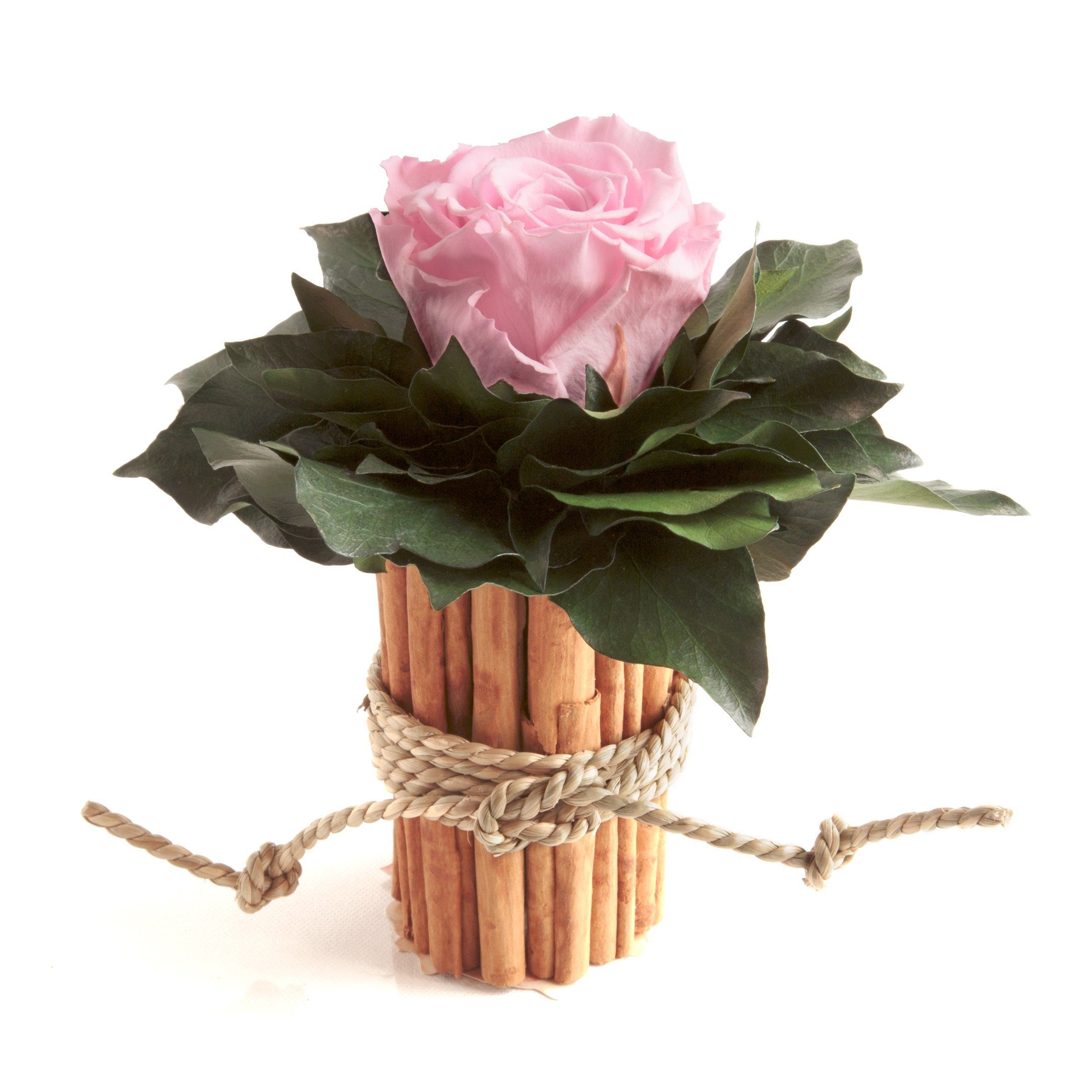 Kunstblumenstrauß Blumenstrauß Zimtbecher Infinity Rosen Kunstpflanze, günstig online kaufen