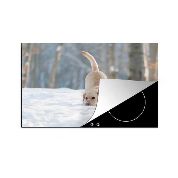 MuchoWow Herdblende-/Abdeckplatte Blick auf einen im Schnee spielenden Labradorhund Vinyl (1 tlg) induktionskochfeld Schutz für die küche Ceranfeldabdeckung