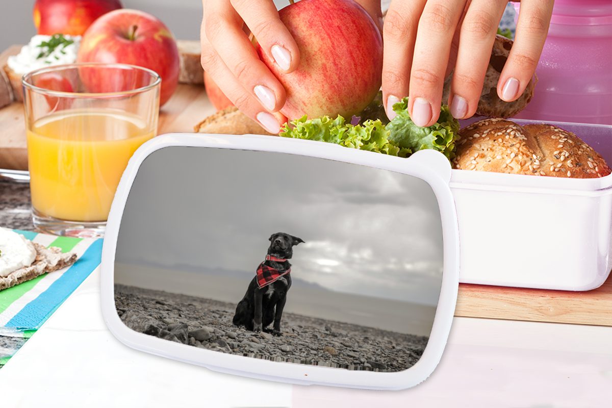 MuchoWow Lunchbox Hund Brotbox für Erwachsene, für - Brotdose, - weiß Wolke, Jungs und Mädchen Kinder Kunststoff, und (2-tlg), Strand