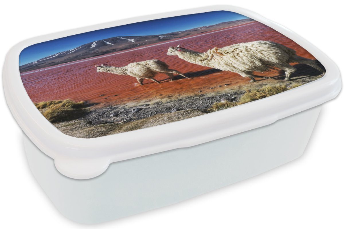 Lunchbox Brotbox Jungs Brotdose, (2-tlg), für Kunststoff, Rot weiß und - Erwachsene, - Mädchen MuchoWow und Kinder für Berg, Alpakas