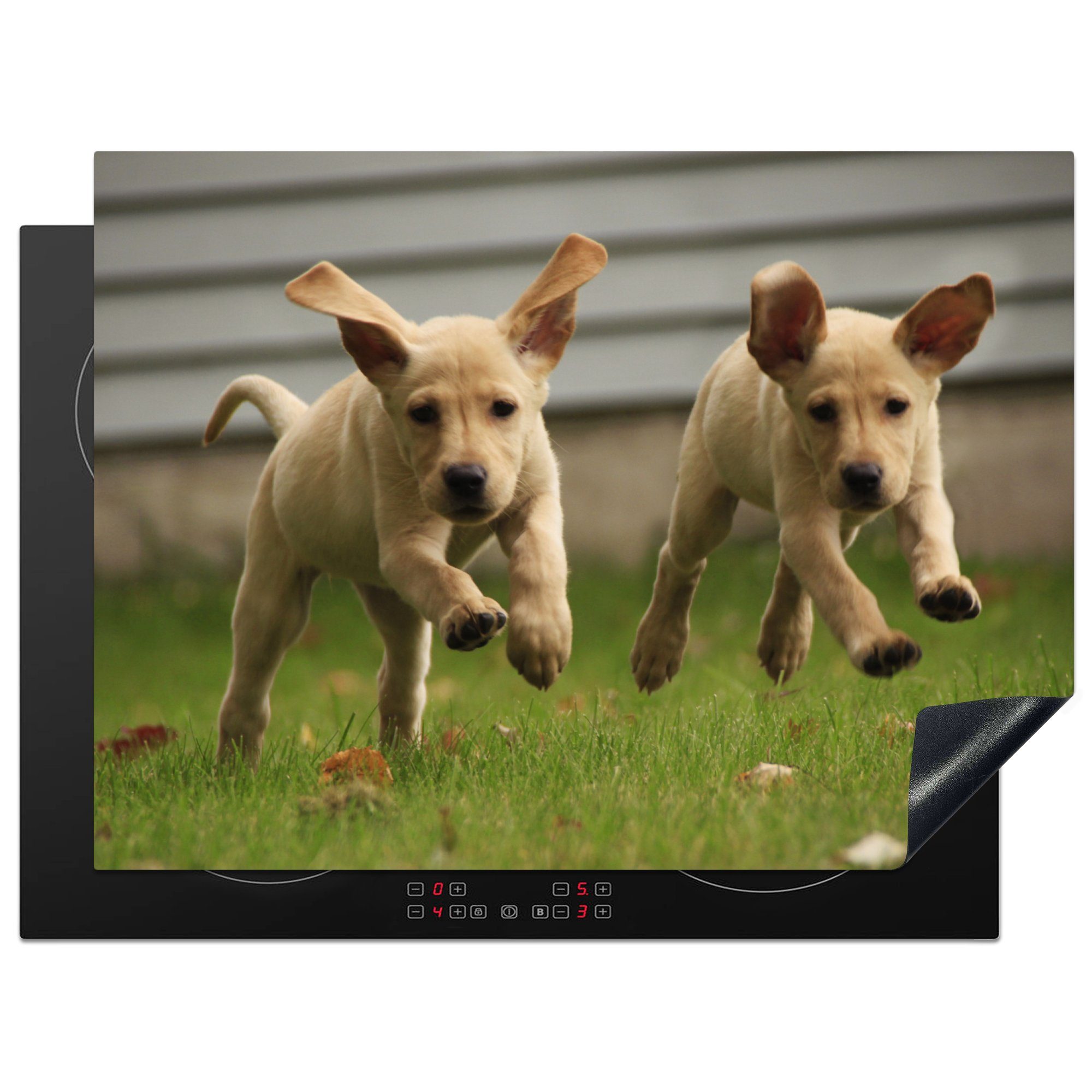 MuchoWow Herdblende-/Abdeckplatte Zwei gelbe Labrador Retriever laufen durch das Gras, Vinyl, (1 tlg), 70x52 cm, Mobile Arbeitsfläche nutzbar, Ceranfeldabdeckung