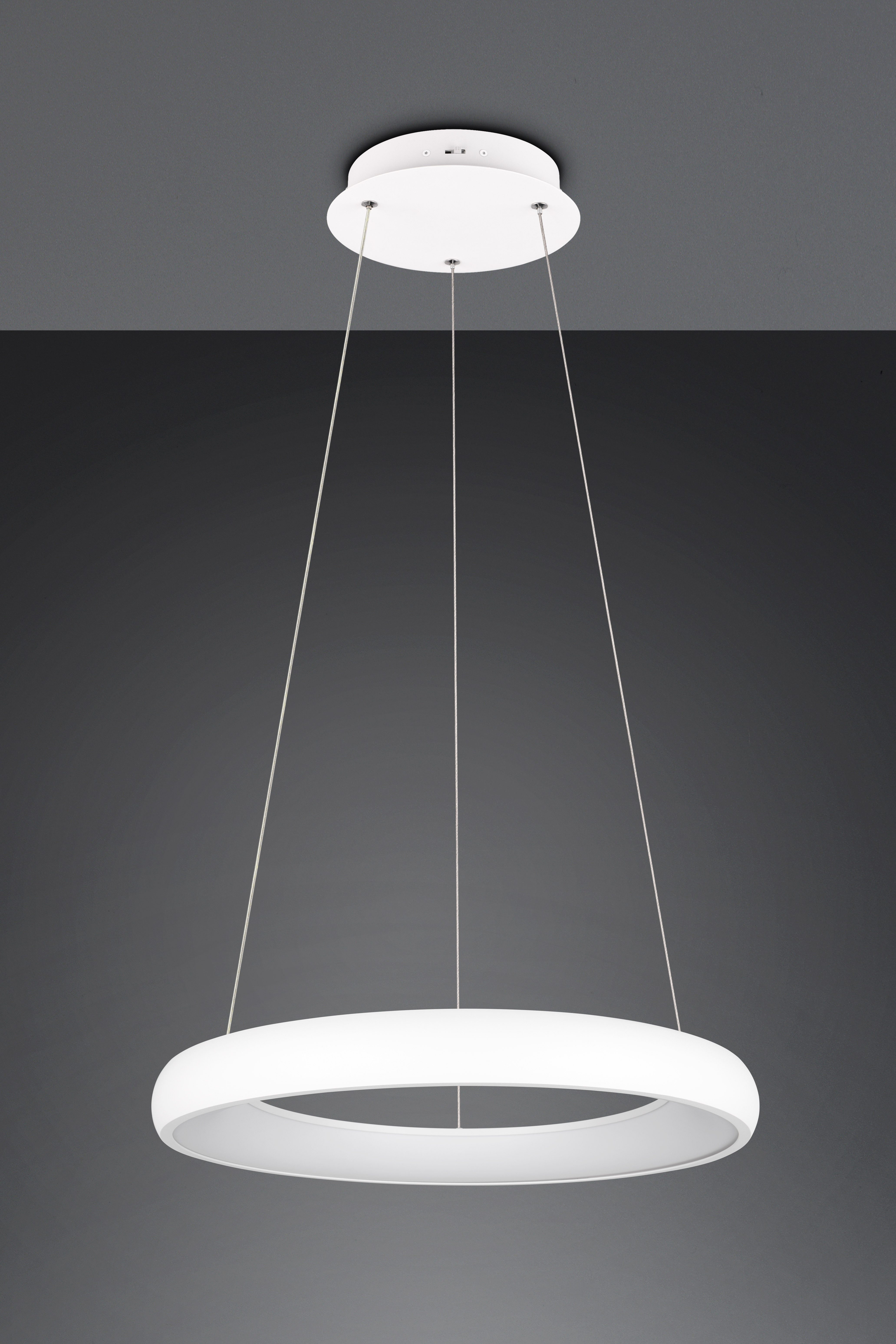 TRIO Leuchten LED Pendelleuchte CARDONA, LED Ring Hängeleuchte, 4400 Lumen günstig online kaufen