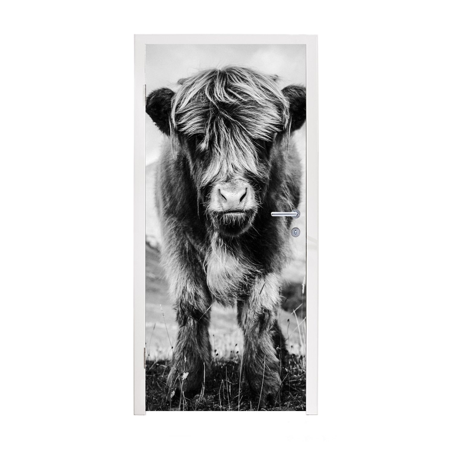 MuchoWow Türtapete Schottischer Highlander - Berg - Schwarz - Weiß, Matt, bedruckt, (1 St), Fototapete für Tür, Türaufkleber, 75x205 cm