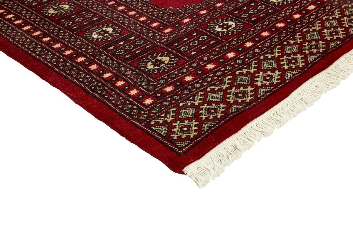 Orientteppich Pakistan Buchara Orientteppich, mm Trading, Handgeknüpfter 170x243 Höhe: 2ply 8 rechteckig, Nain