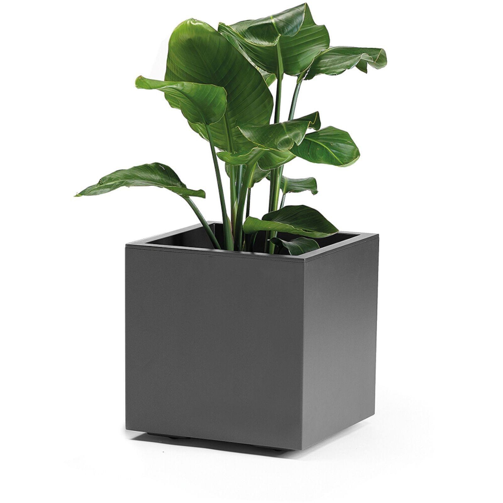 euro3plast Pflanzkübel Pflanzkübel GREENER KEBE 40 cm anthrazit