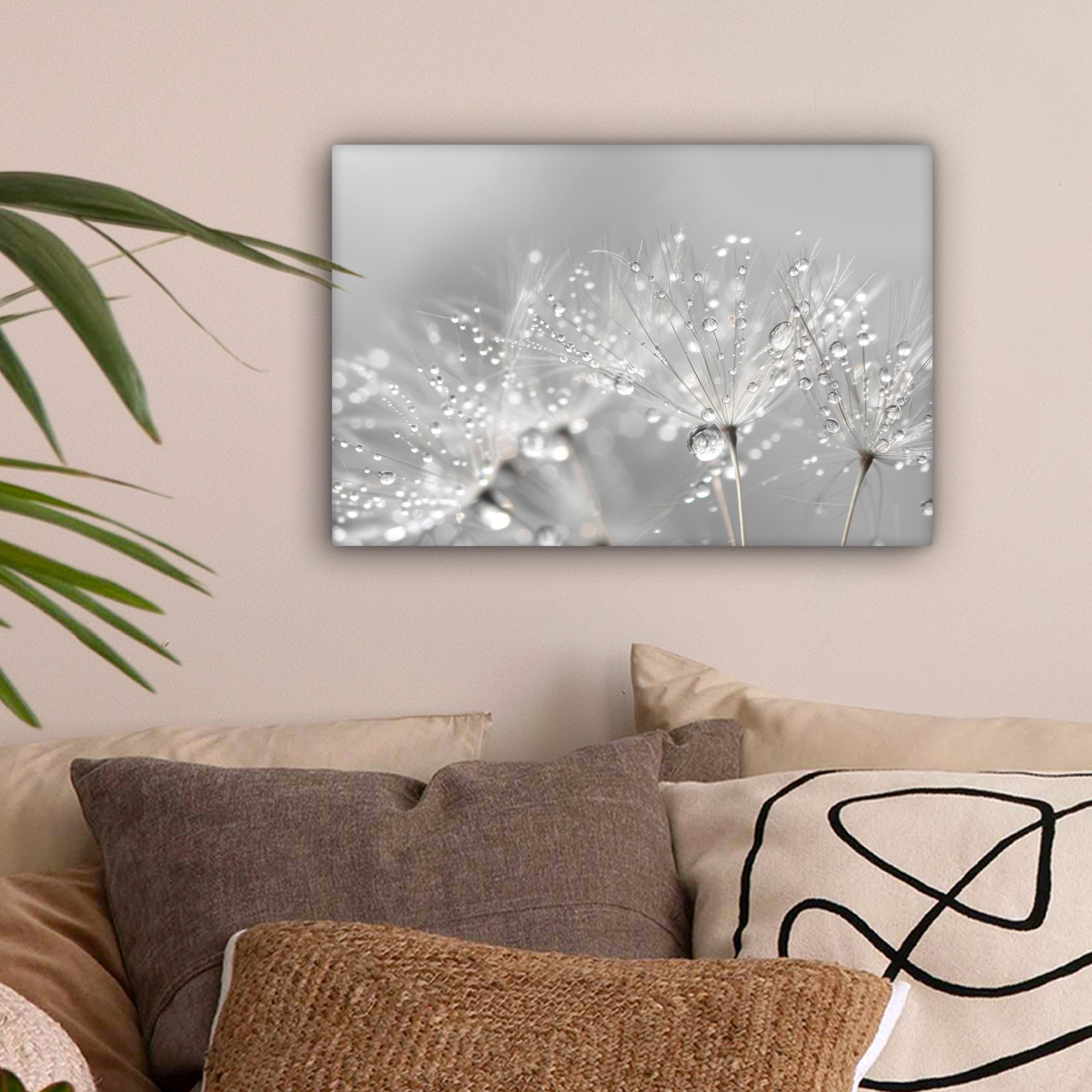 OneMillionCanvasses® Leinwandbild Löwenzahn - Wassertropfen - Stilleben - M günstig online kaufen