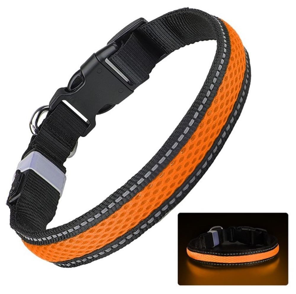 Illes-Laedchen Hunde-Halsband LED Hundehalsband USB wiederaufladbar – wasserdichtes Leuchthalsband, für Hunde mit 3 Leuchtmodi, reflektierend & langlebig