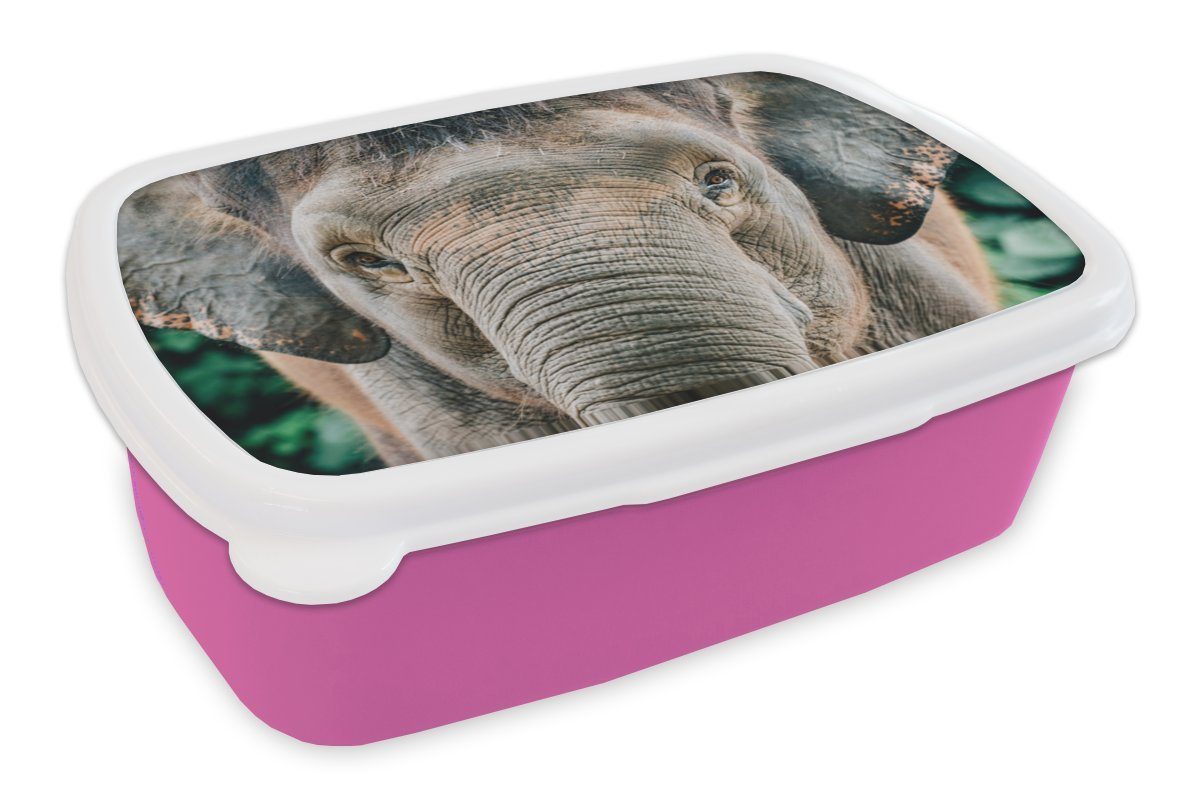 MuchoWow Lunchbox Nahaufnahme eines Elefanten, Kunststoff, (2-tlg), Brotbox für Erwachsene, Brotdose Kinder, Snackbox, Mädchen, Kunststoff rosa