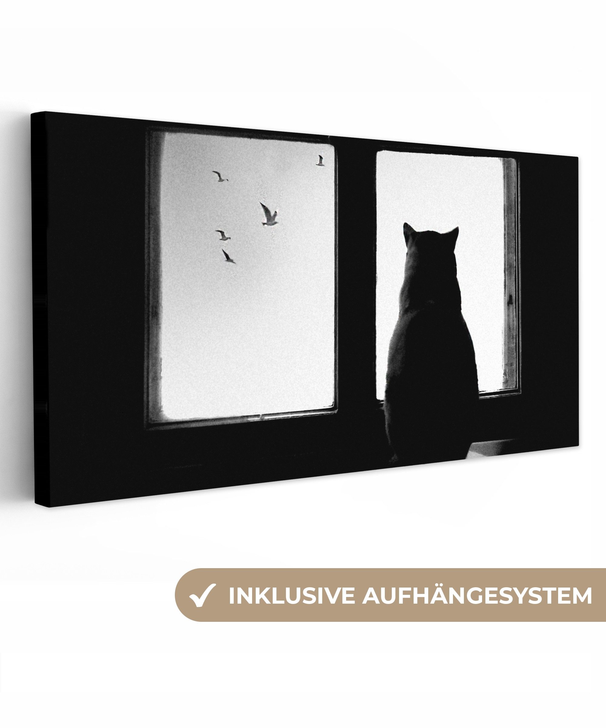 OneMillionCanvasses® Leinwandbild Panorama Katze - Tiere günstig online kaufen
