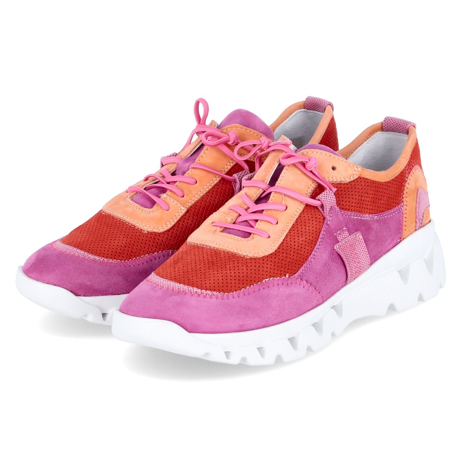 Low Sneaker DAKOTA Sneaker