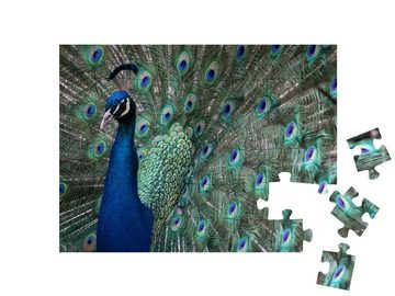 puzzleYOU Puzzle Ein Pfau mit ausgefahrenen Federn, 48 Puzzleteile, puzzleYOU-Kollektionen Pfauen, Tiere in Dschungel & Regenwald