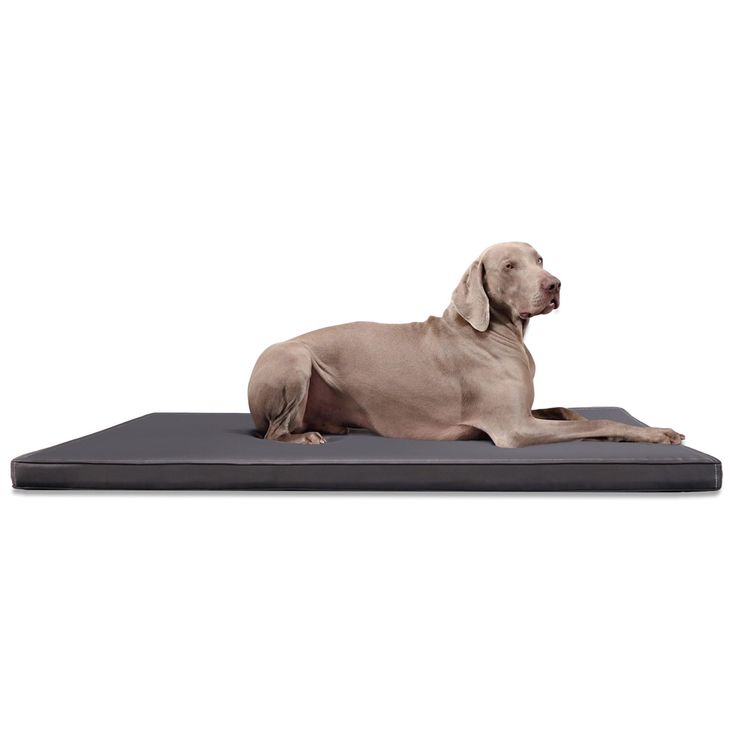 tierlando® Tierbett CARLOS Ortho-Medic Orthopädische Hundematte Kunstleder günstig online kaufen