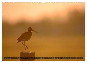 CALVENDO Wandkalender Uferschnepfen - Die eleganten Vögel mit dem langen Schnabel (Premium, hochwertiger DIN A2 Wandkalender 2023, Kunstdruck in Hochglanz)