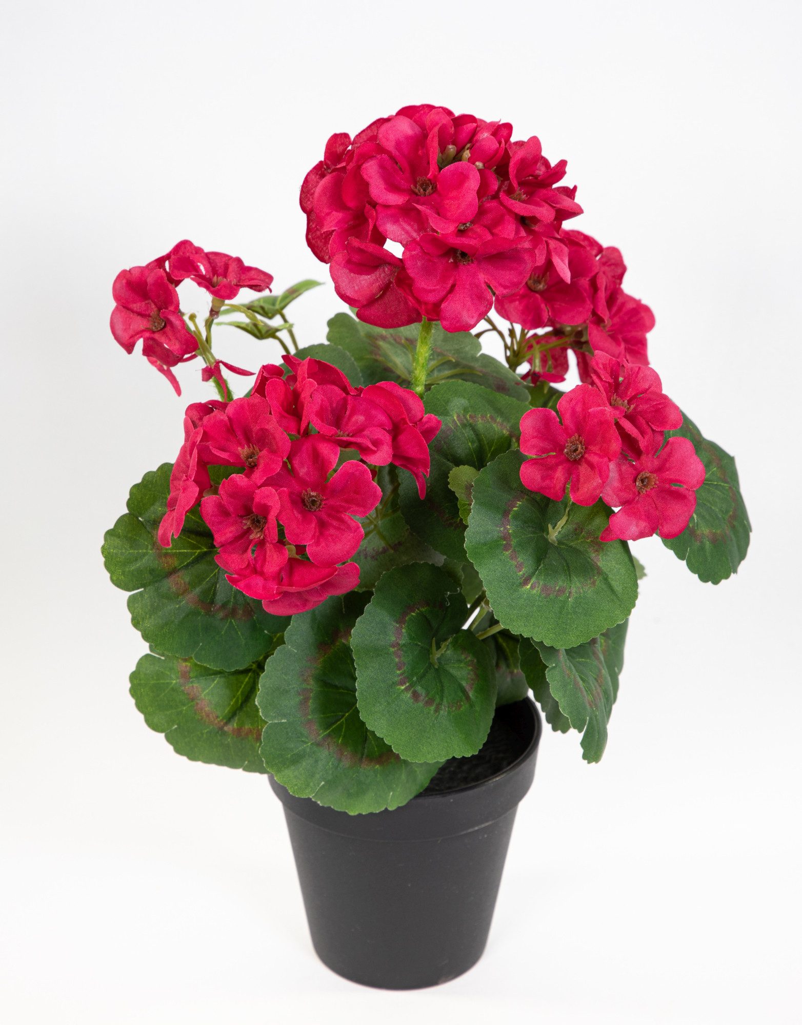 Kunstblume Geranie im Topf 34cm LM Kunstpflanzen künstliche Blumen Pflanzen Pelargonium, Seidenblumen Roß, Höhe 34 cm, Fuchsia-Pink