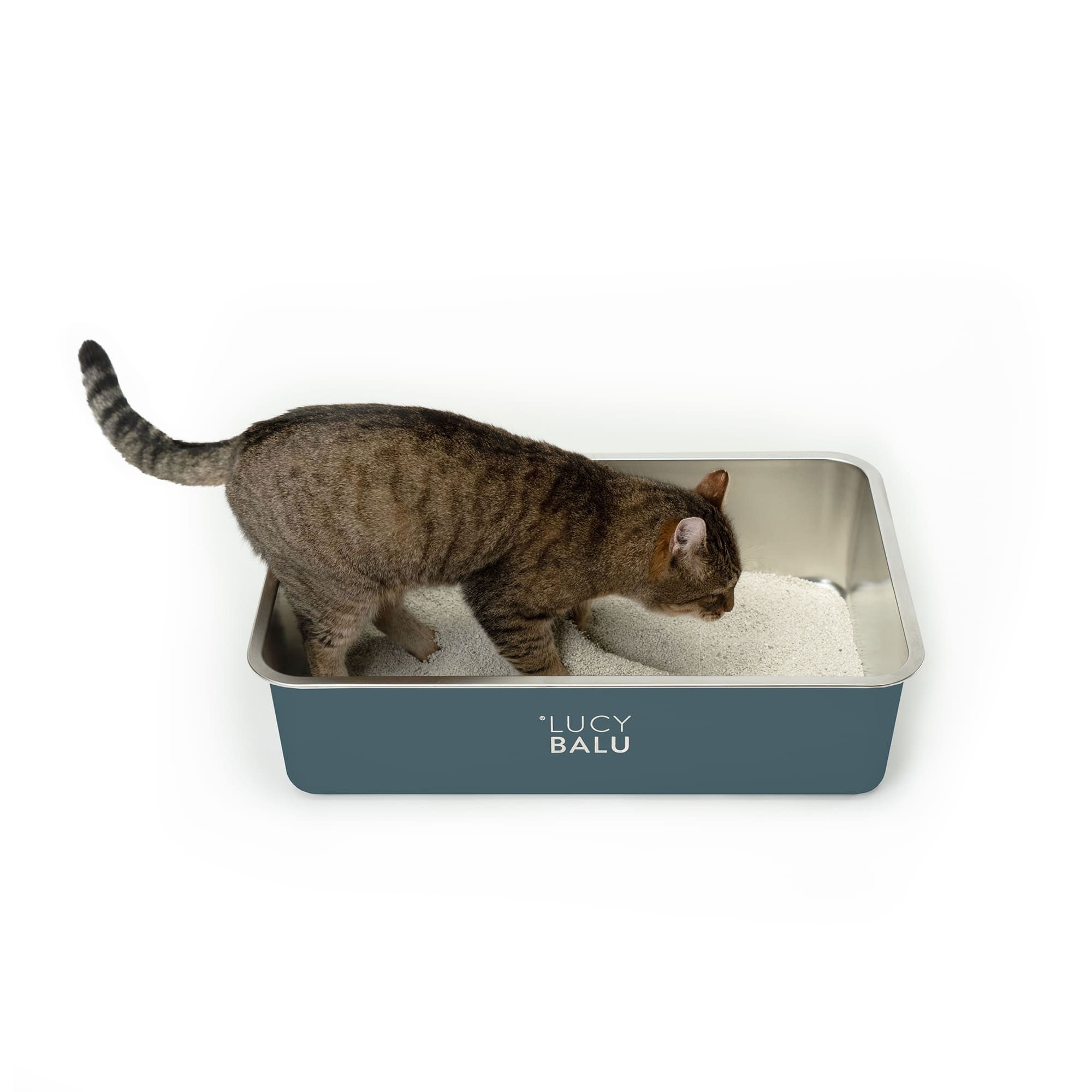 LucyBalu Katzentoilette STEELOO Edelstahl Katzenklo geruchsfrei, Katzentoilette aus Edelstahl
