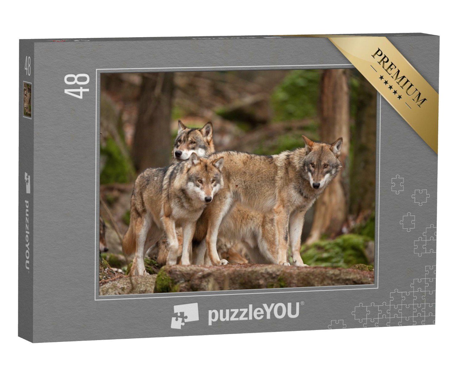 puzzleYOU Puzzle Wolfsfamilie in ihrem natürlichen Lebensraum, 48 Puzzleteile, puzzleYOU-Kollektionen Wölfe, Raubtiere, Tiere des Nordens