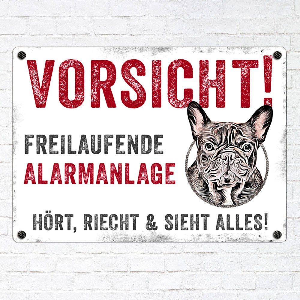 Thumbnail - Cadouri Warnschild Hundewarnschild FRANZÖSISCHE BULLDOGGE - Hinweisschild mit Hunderasse, (Metallschild mit vier vorgebo...
