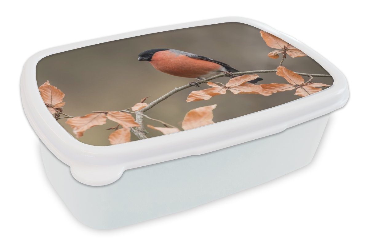 MuchoWow Lunchbox Vogel und -, Laub - für für Jungs - und (2-tlg), - weiß Kinder Brotdose, Erwachsene, Brotbox Gimpel Herbst Mädchen Kunststoff