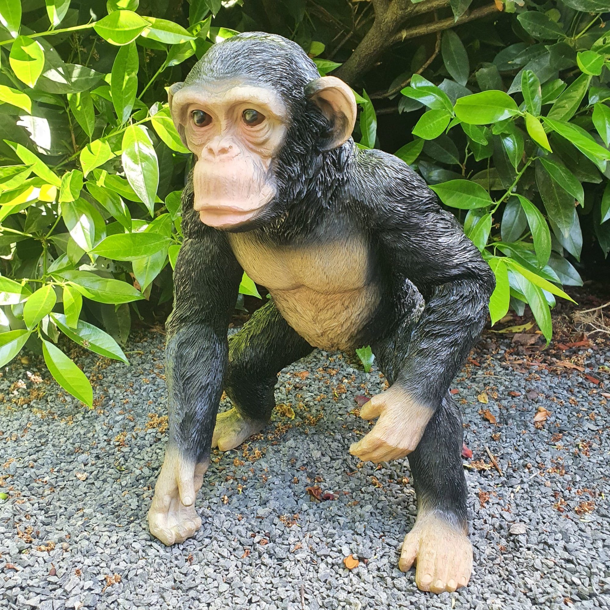 Aspinaworld Gartenfigur Gartenfigur stehende Schimpansen Figur 37 cm